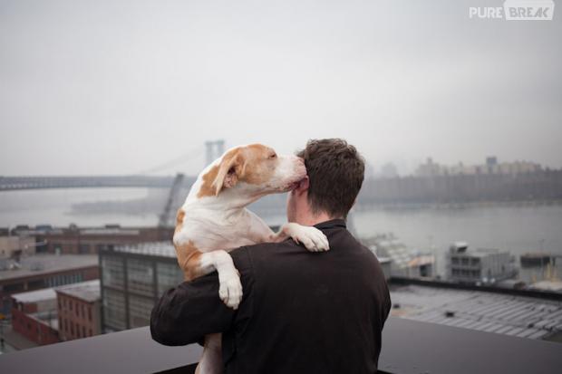 rencontre entre maitre chiens