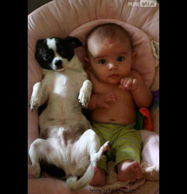 Les chiens Baby Sitters.. Magnifique... 316848-bebe-avec-animal-012-620x0-1