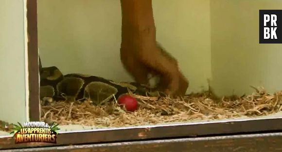 Aurélie et Hillary s'affrontent dans l'épreuve des boîtes dans Moundir et les apprentis aventuriers.