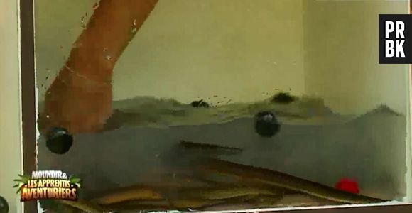 Aurélie et Hillary s'affrontent dans l'épreuve des boîtes dans Moundir et les apprentis aventuriers.