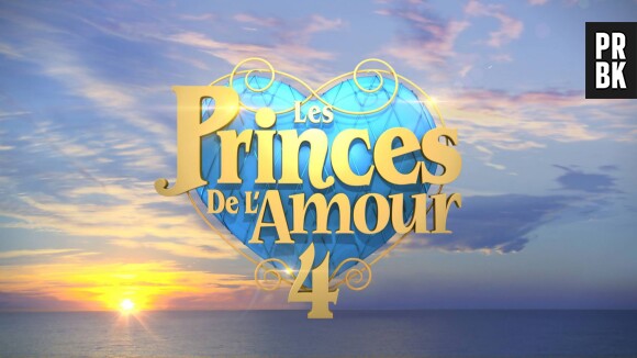 Les Princes de l'Amour 4 : un candidat a menti à la production de W9