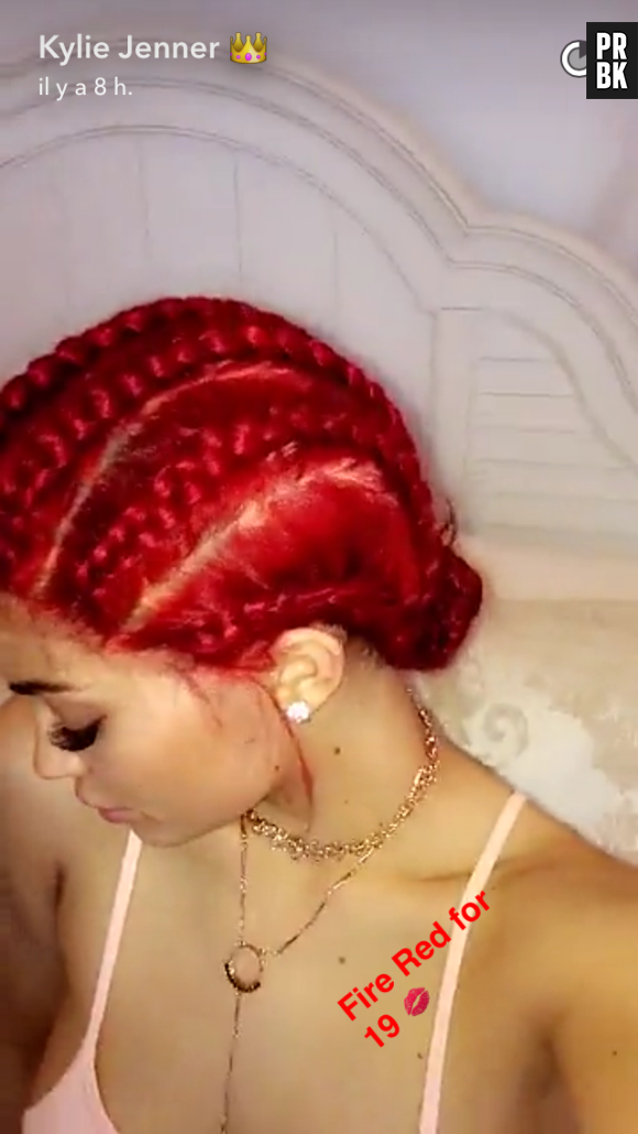 Kylie Jenner dévoile sa nouvelle couleur sur Snapchat en précisant que c'est pour ses 19 ans.