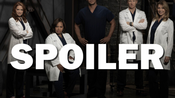 Grey's Anatomy saison 13 : décision choc pour Alex dans l'épisode 1