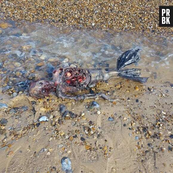 Le cadavre d'une sirène retrouvé sur la plage de Great Yarmouth ? Les photos et vidéos buzz