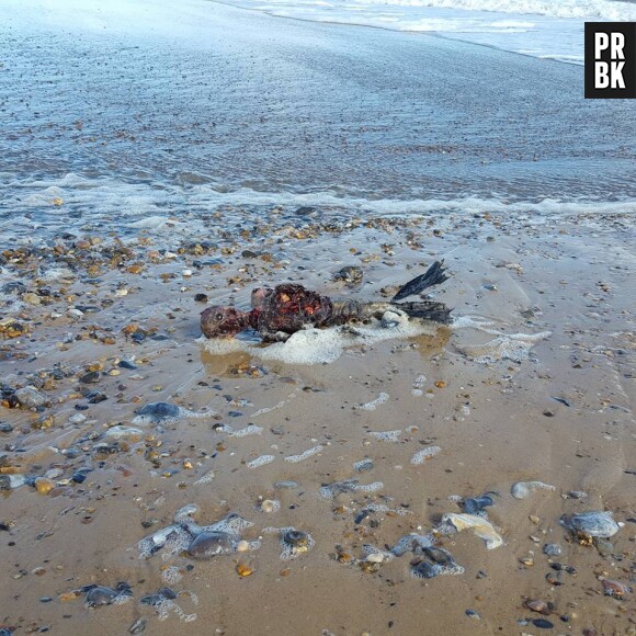 Le cadavre d'une sirène retrouvé sur la plage de Great Yarmouth ? Les photos et vidéos buzz