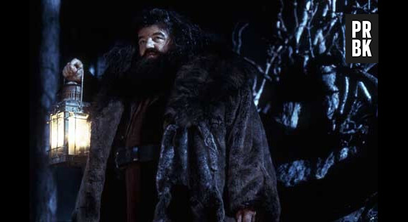 Harry Potter : une doublure pour Hagrid