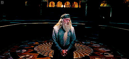 Les Animaux Fantastiques : Dumbledore au programme du deuxième film