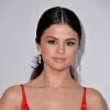 Selena Gomez sublime aux American Music Awards le 20 novembre 2016