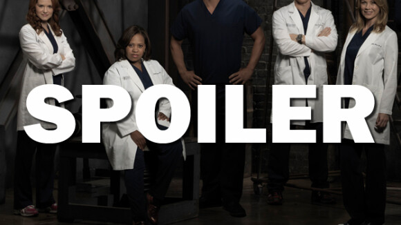 Grey's Anatomy saison 13 : Jo et Andrew bientôt en couple ? La réponse de Camilla Luddington