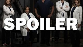 Grey's Anatomy saison 13 : Arizona de nouveau en couple après Callie ? L'avis de Jessica Capshaw