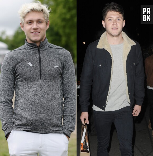 Niall Horan n'est plus blond : le One Direction est maintenant brun, un changement qui n'enchante pas ses fans.