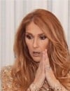 Céline Dion : sa réaction énorme face à une demande en mariage d'un fan