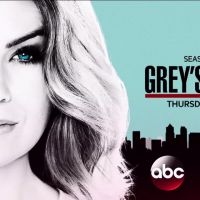 Grey&#039;s Anatomy :  la saison 13 débarque bientôt sur TF1