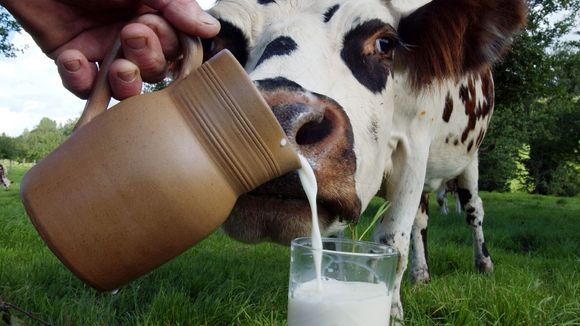 1-2 Switch : la SPA américaine s'en prend à Nintendo !