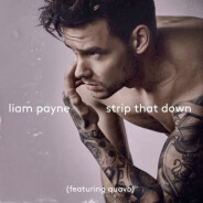 &quot;Strip That Down&quot; : Liam Payne dévoile son premier single solo, ses fans valident 😻