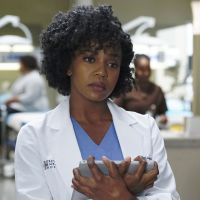 Grey&#039;s Anatomy saison 14 : Stephanie peut-elle revenir ? Jerrika Hinton répond