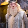 Les Animaux Fantastiques 2 : découvrez qui va jouer Dumbledore