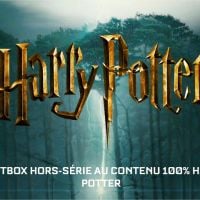 Harry Potter : une box très limitée arrive bientôt chez Wootbox