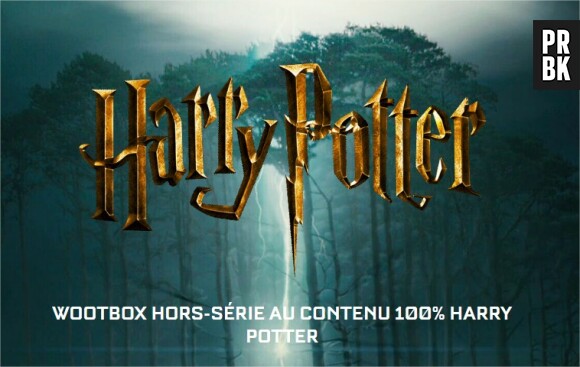 Harry Potter : une box très limitée arrive bientôt chez Wootbox