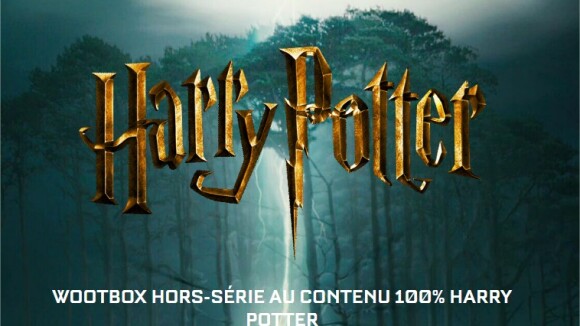 Harry Potter : une box très limitée arrive bientôt chez Wootbox