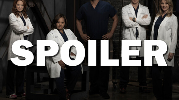 Grey's Anatomy saison 14 : départ choc d'un acteur après l'épisode 5