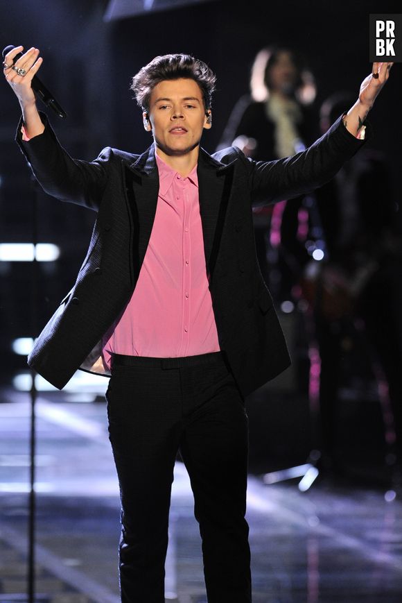 Harry Styles produit une série inspirée de sa vie