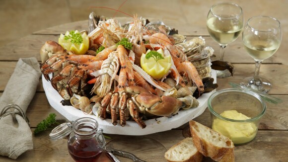 La Belgique est elle aussi championne du monde... dans le décorticage de crevettes !