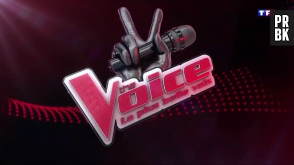 The Voice 8 : le jury bouleversé, trois départs et des retours au programme !