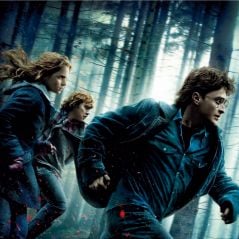 Harry Potter : 10 secrets que seuls les vrais fans connaissent