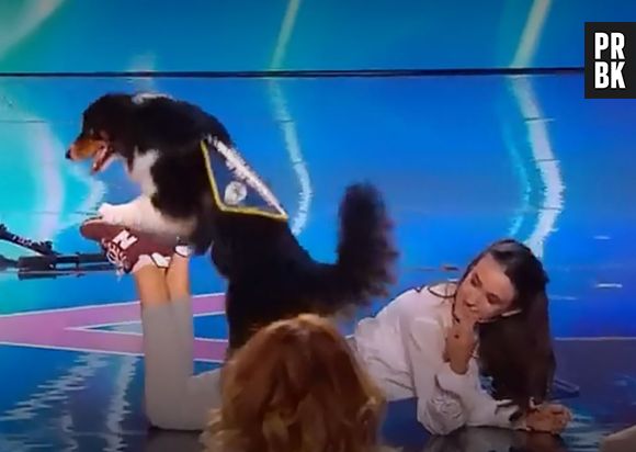 La France a un incroyable talent : la prestation de la jeune Emma et de sa chienne Joy a ému le jury aux larmes.