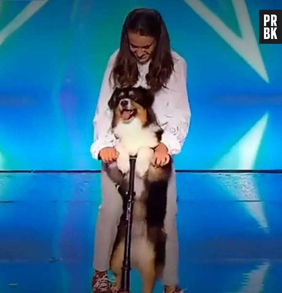 La France a un incroyable talent : la prestation de la jeune Emma et de sa chienne Joy a ému le jury aux larmes.