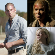 The Walking Dead : Jon Bernthal, Laurie Holden... que deviennent les ex-acteurs de la série ?