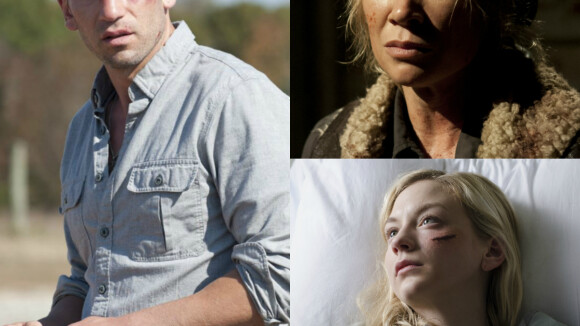The Walking Dead : Jon Bernthal, Laurie Holden... que deviennent les ex-acteurs de la série ?