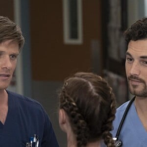 Grey's Anatomy saison 15, épisode 9 : Link (Chris Carmack) et DeLuca (Giacomo Gianniotti) sur une photo