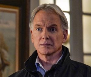 NCIS saison 17 : la série renouvelée pour une nouvelle année, Mark Harmon (Gibbs) reste