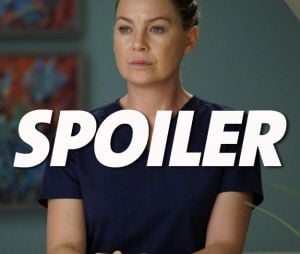 Grey's Anatomy saison 15 : une disparition, des médecins virés... les 4 moments forts du final