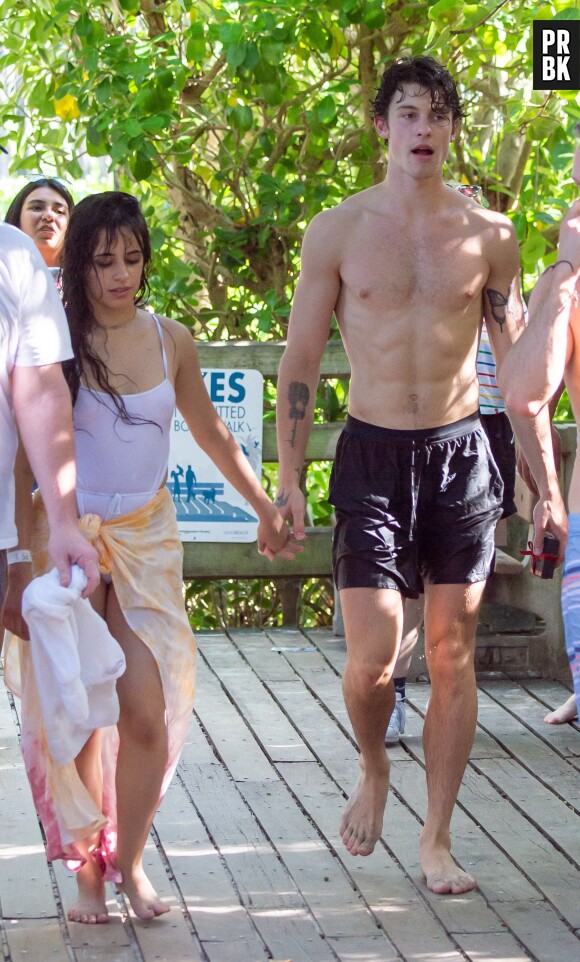 Shawn Mendes et Camila Cabello en couple : ces nouvelles photos de baisers torrides et de câlins ne laissent plus aucun doute
