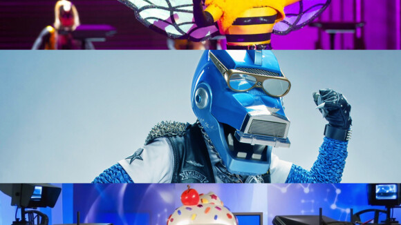 Mask Singer : abeille, lion, cupcake... quelles célébrités se cachent derrière les masques ? Votez !