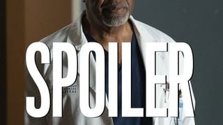 Grey's Anatomy saison 17 : quelle suite pour Richard ? James Pickens Jr donne ses idées