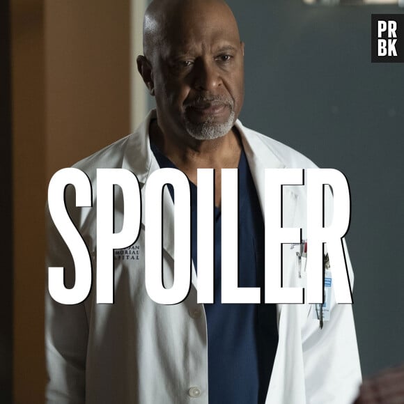 Grey's Anatomy saison 17 : quelle suite pour Richard ? James Pickens Jr donne ses idées