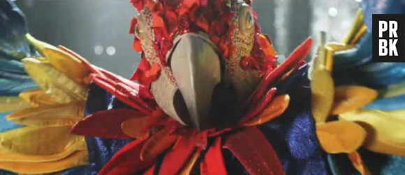 Mask Singer 2020 : TF1 dévoile les incroyables costumes dans un premier teaser