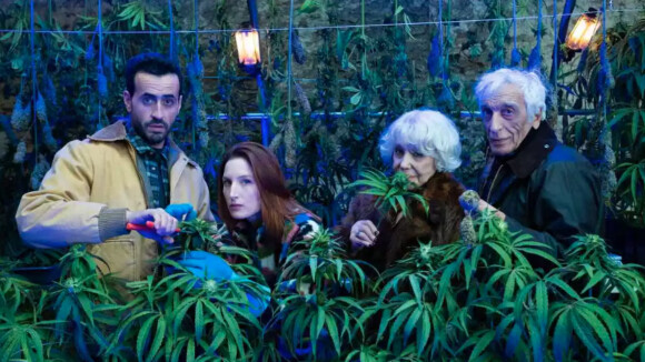 Family Business saison 2 : Jonathan Cohen balance par quoi la weed est remplacée sur le tournage