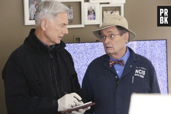 NCIS saison 18 : les secrets de Ducky et Gibbs révélés dans l'épisode 400