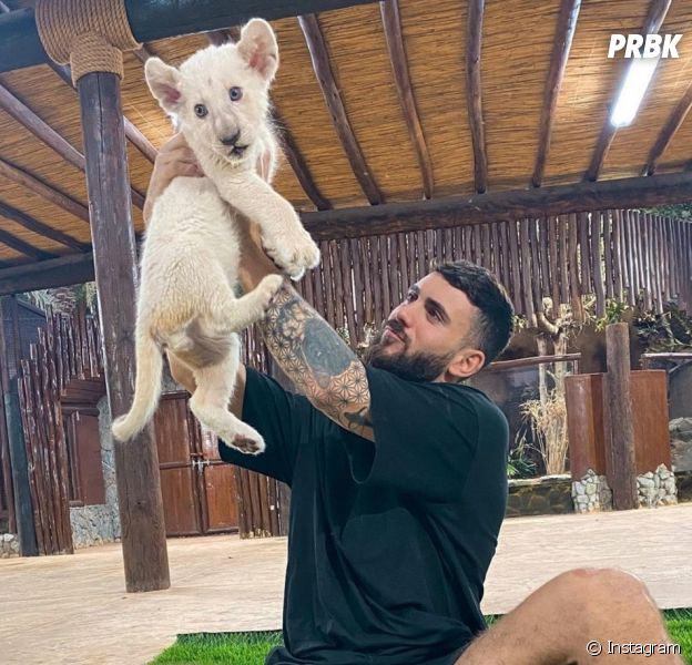 Illan (Les Marseillais) accusé d'exploiter des animaux sauvages : Hugo Clément le recadre, il réagit