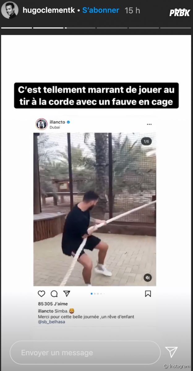 Hugo Clément recadre Illan Castronovo après sa visite au zoo de Dubaï avec des animaux sauvages