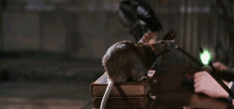 Harry Potter : vous ne verrez plus les films de la même façon après l'anecdote de Daniel Radcliffe