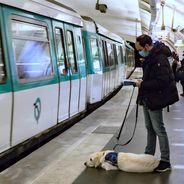 Bientôt la gratuité des transports en commun ? Une pétition lancée en Île-de-France