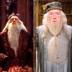 Harry Potter : découvrez quel acteur aurait dû jouer Dumbledore à la place de Michael Gambon