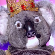 &quot;Une horreur&quot;, &quot;acheté sur Wish&quot;, &quot;Je vais faire des cauchemars&quot;... Le costume du Koala de Mask Singer prend cher