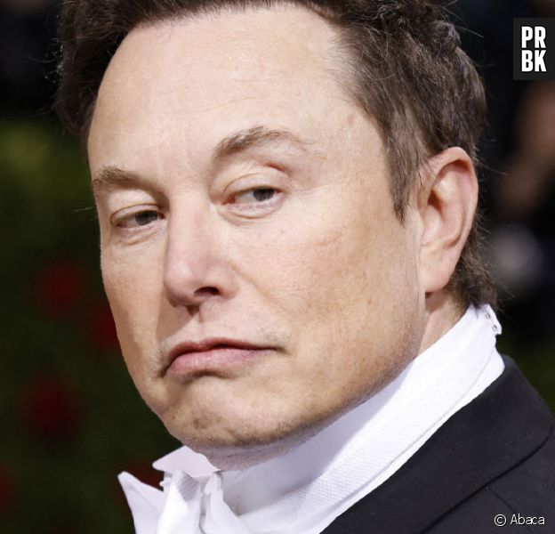 Elon Musk encore humilié par Arkunir : il le ratio une 2ème fois